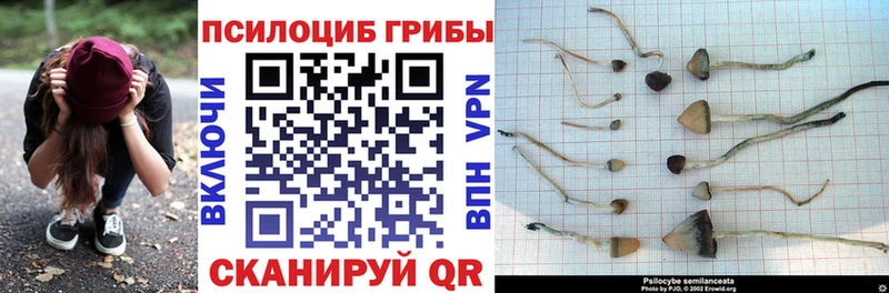 Псилоцибиновые грибы MAGIC MUSHROOMS  Купить где  Усинск 